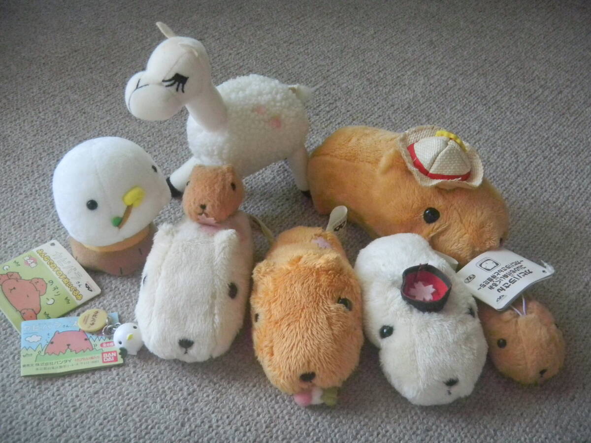 カピバラさん　アミューズメント　ぬいぐるみ色々セット　