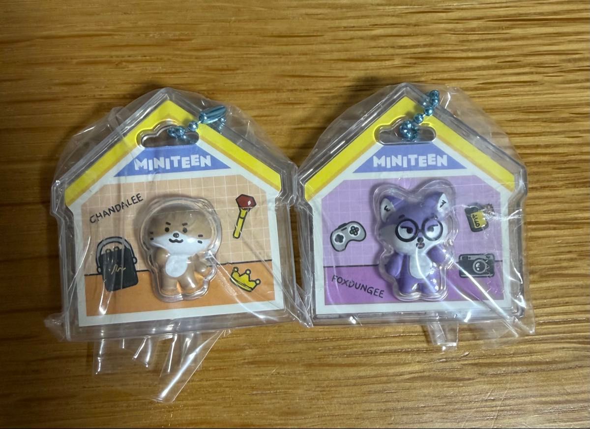 SEVENTEEN MINITEEN パッケージチャーム ウォヌ ディノ セブチ ミニティーン 二手;物流保障;未使用