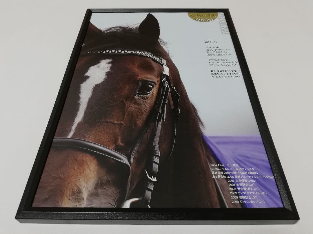 競馬 ウオッカ パネル 名馬の肖像没有明显的损伤或污渍
