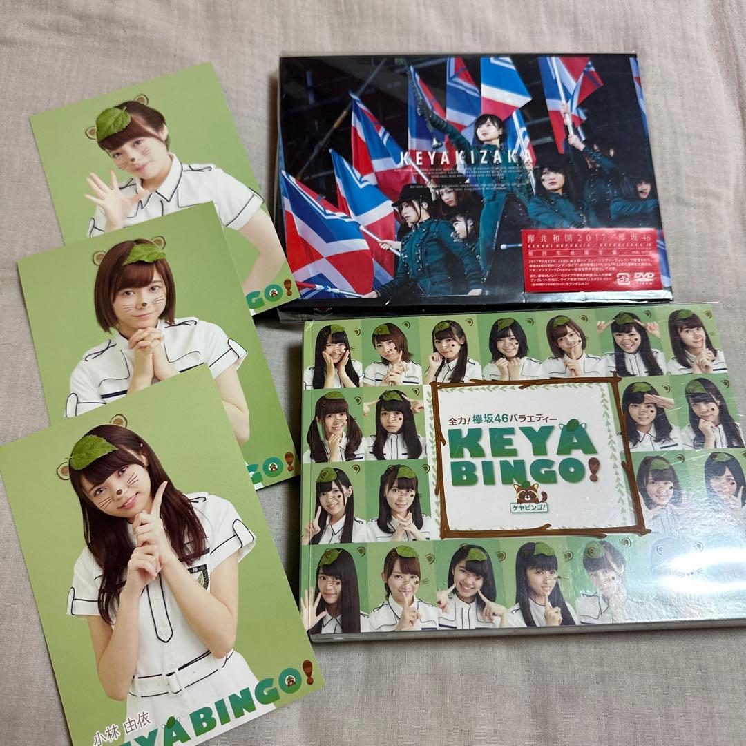 欅共和国2017 KEYABINGO DVD