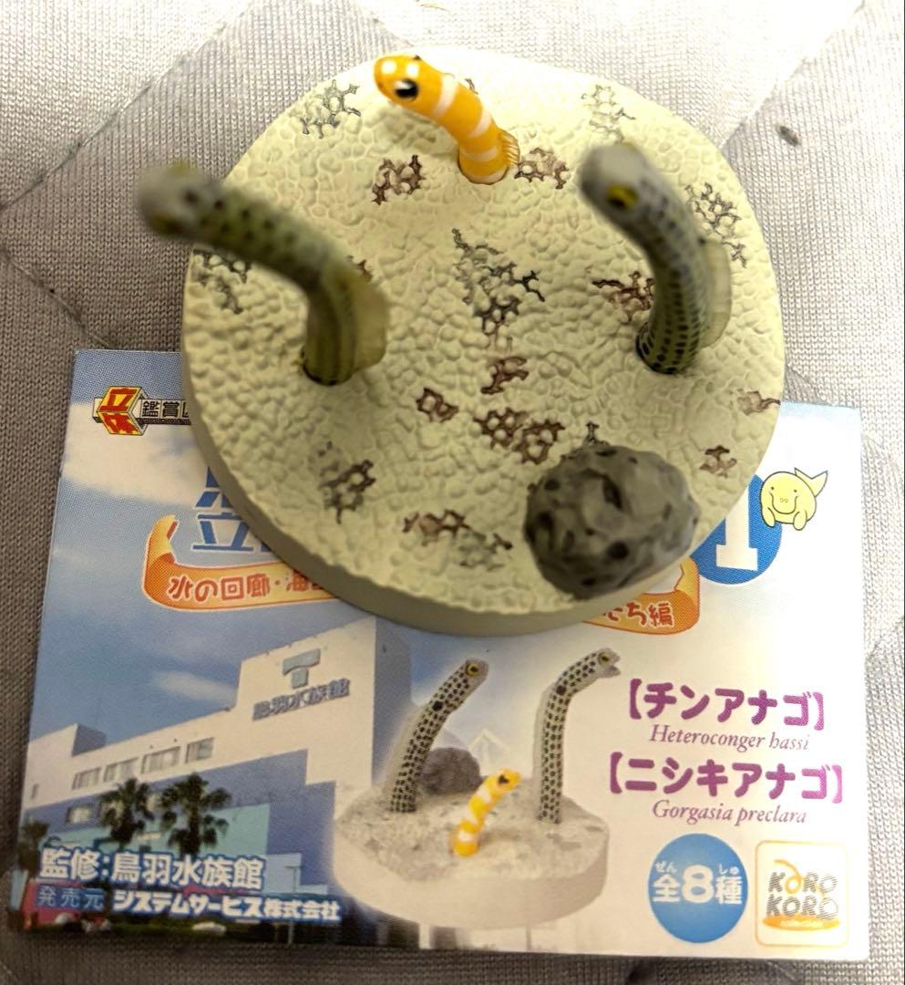 鳥羽水族館立体コレクションpart1水の回廊&海獣王国と小さな仲間たち